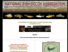 Tablet Screenshot of nfda.tv